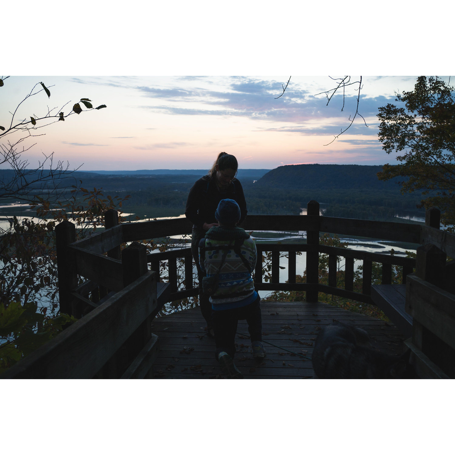 Aaron asking Anna to marry him on the Bridal Veil Trail at Pike's Peak State Park in McGregor, Iowa.