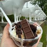 Kopp's Frozen Custard