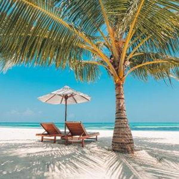Honeymoon & Travel Fund