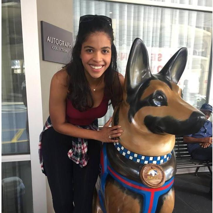 The K9 Police dog statue that was right outside our beautiful Chicago hotel.