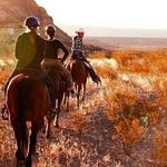 Lajitas Stables