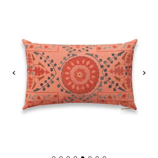 Coral Trellis Suzani Pillow (26” x 16”)