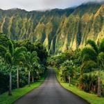 Hoʻomaluhia Botanical Garden