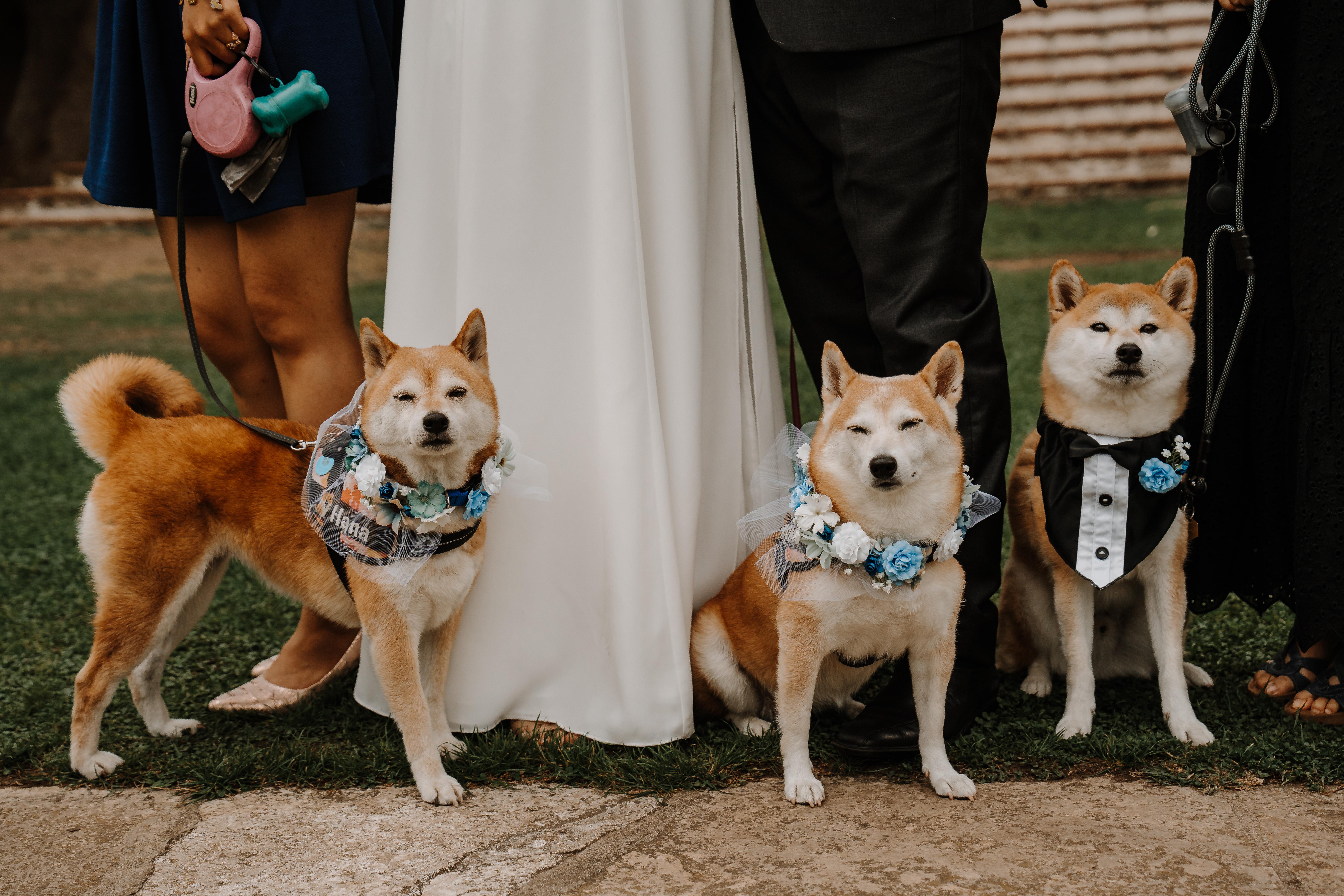 The Wedding Website of Kimberly Tran and Jimmy Liu