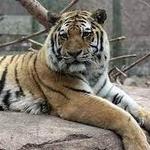 Lake Superior Zoo