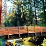 Shevlin Park