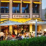 Cipollini