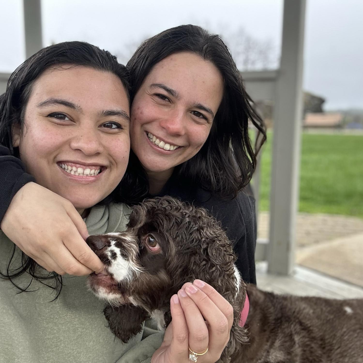 wet noses