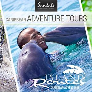 Horseback Ride 'n' Swim Saint Lucia