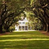 Charles Towne Landing State Historic Site