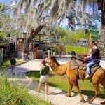 ZooTampa at Lowry Park