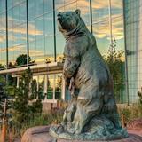 Denver Museum of Nature & Science