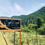 D'Vinery Eagle Creek Winery