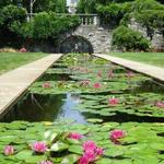 New Jersey Botanical Garden