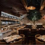 Blanco Cocina + Cantina