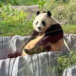 San Diego Zoo