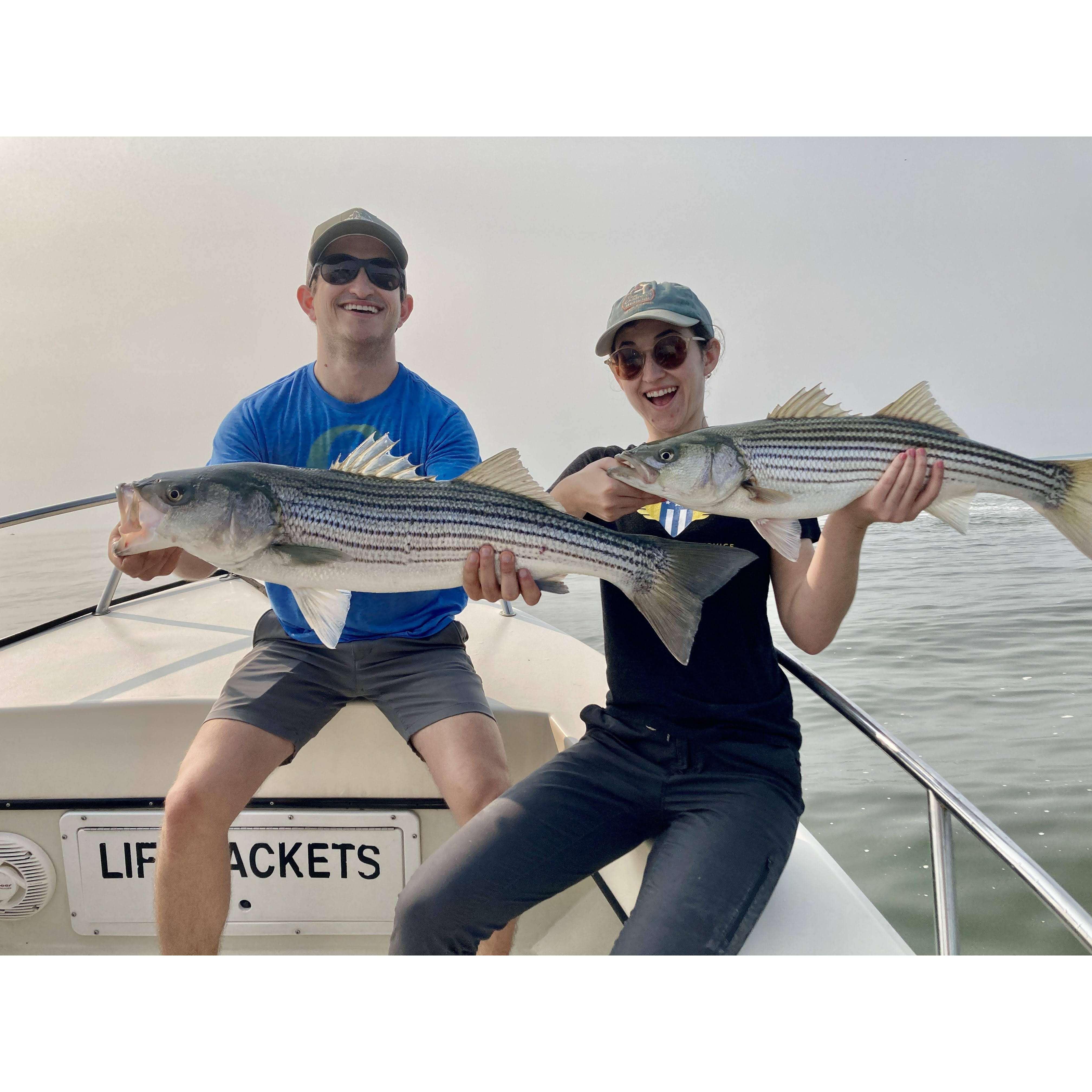 Erin's funemployment in Maine before starting work for a law firm