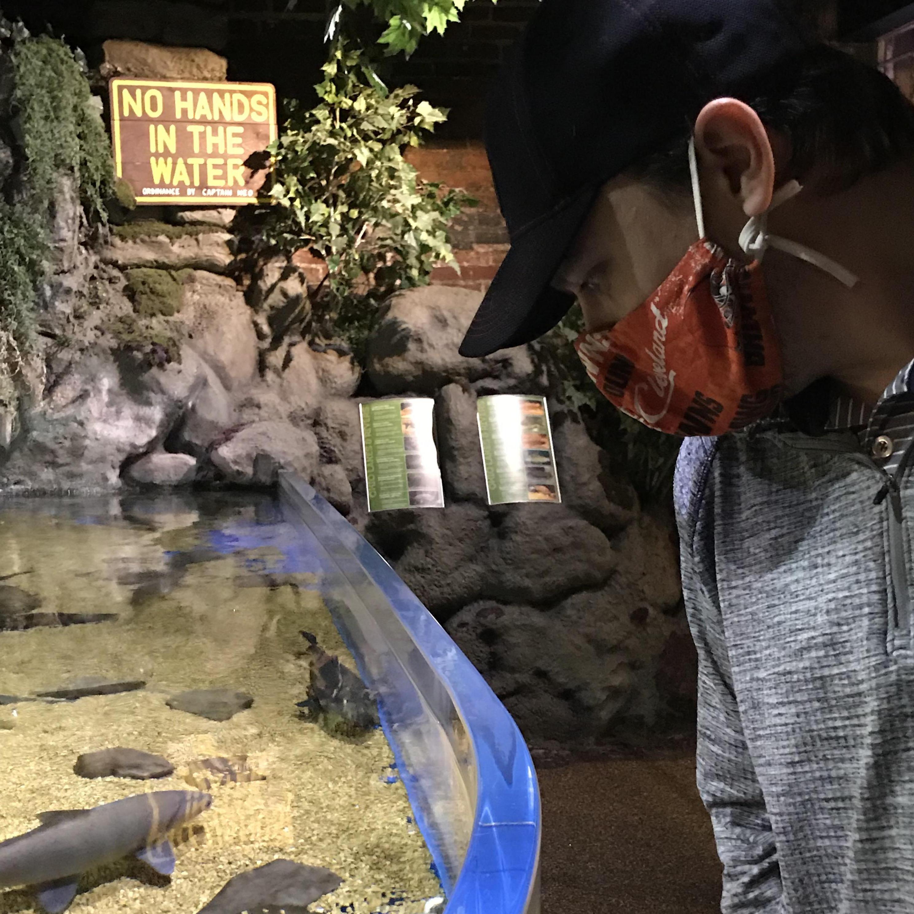 The Cleveland Aquarium