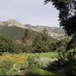 Santa Barbara Botanic Garden