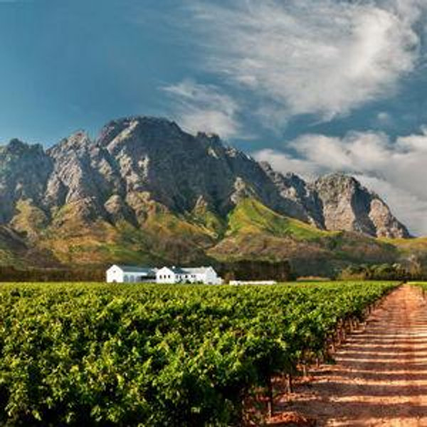 Franschhoek Winelands Tour