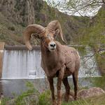 Waterton Canyon Trailhead