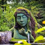 Atlanta Botanical Garden