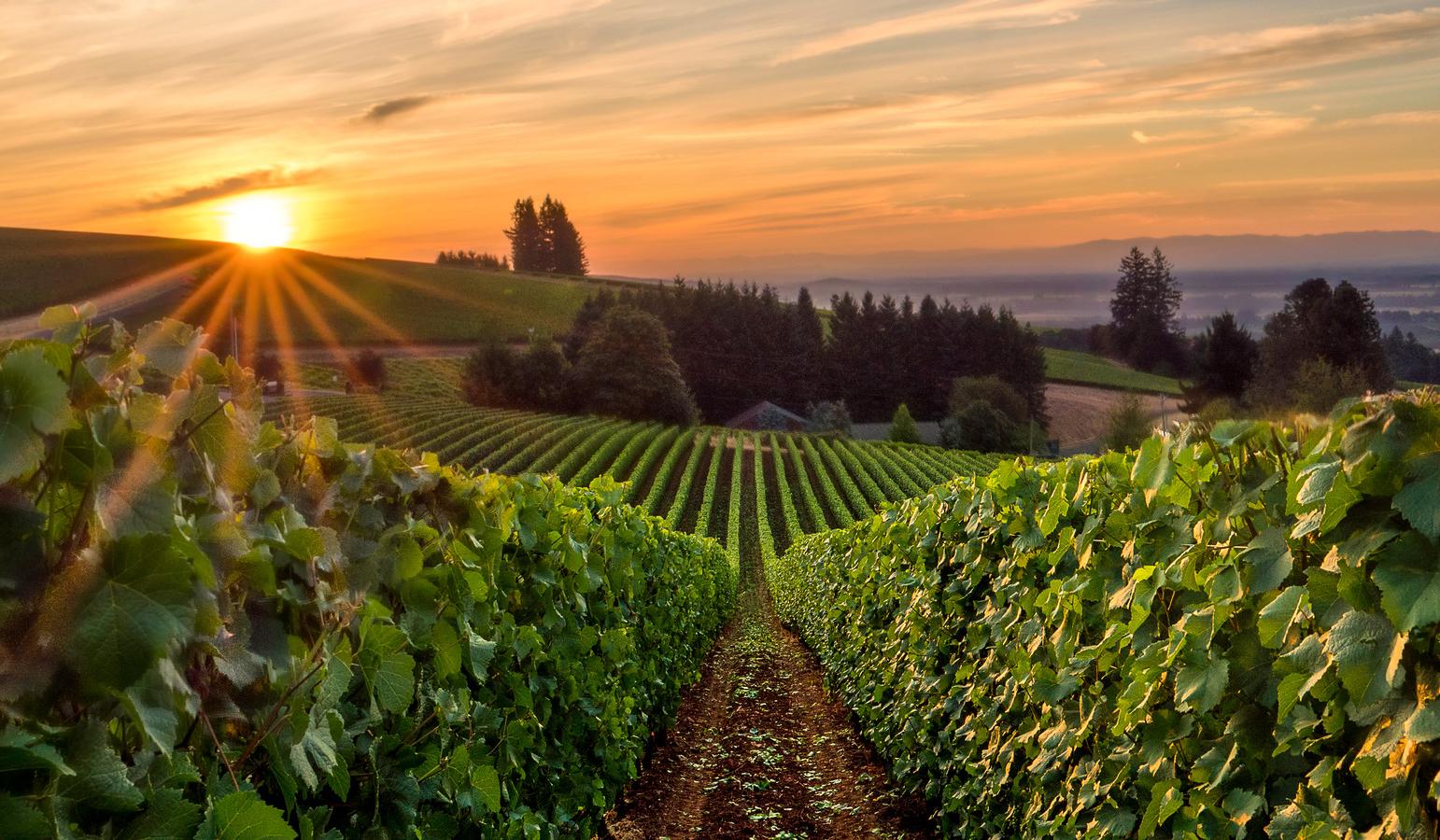 The Wedding Website of Cassidy Brons and Craig Wright