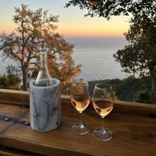 Our Wine Collection