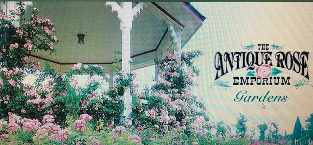 The Wedding Website of Lori Bryant and Robert Trapp Jr.