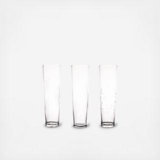 Sienna 6-Piece Etched Champagne Glass Set