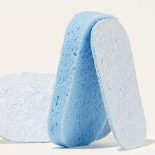 Eco-Friendly Plant-Based Dish Sponges | Blueland