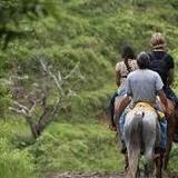 Horseback Riding Adventure Grenada