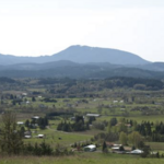 Bald Hill Trail