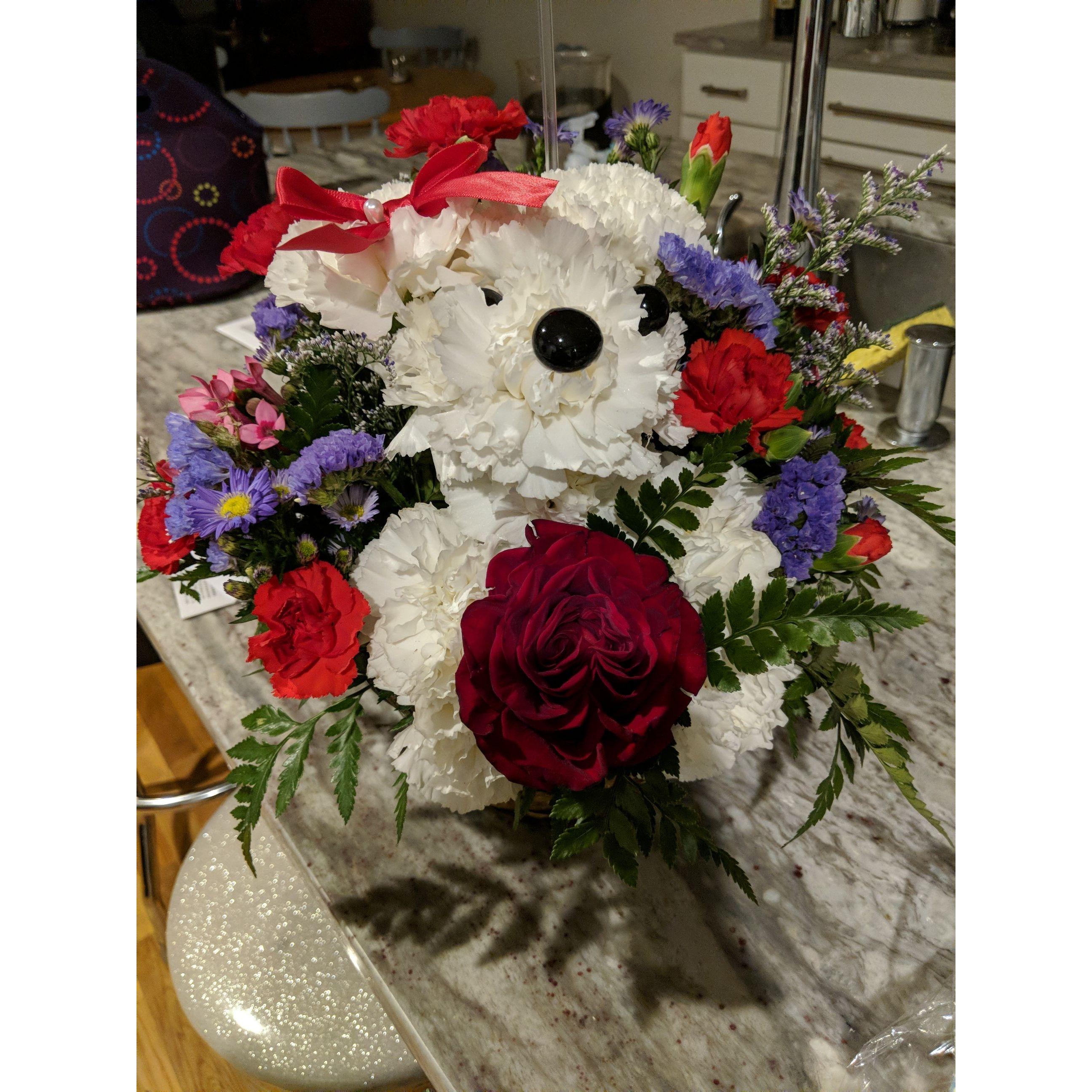 The infamous dog flowers that Nana send Deb after he moved to Colorado. 