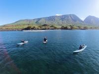 Maui Surf Lessons LLC