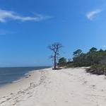 Bald Point State Park