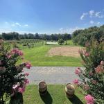 Sunset Hills Vineyard