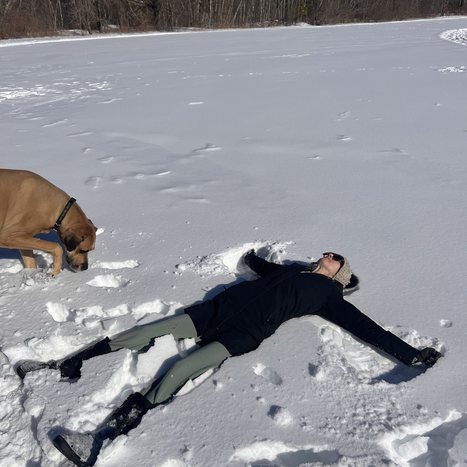 Virginia's new found love of snow