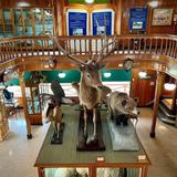 Banff Park Museum National Historic Site