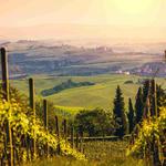 Montepulciano and Montalcino