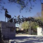 Lincoln Park Zoo