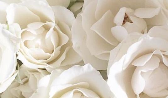 The Wedding Website of Valerie Navor and Rudy Gallardo