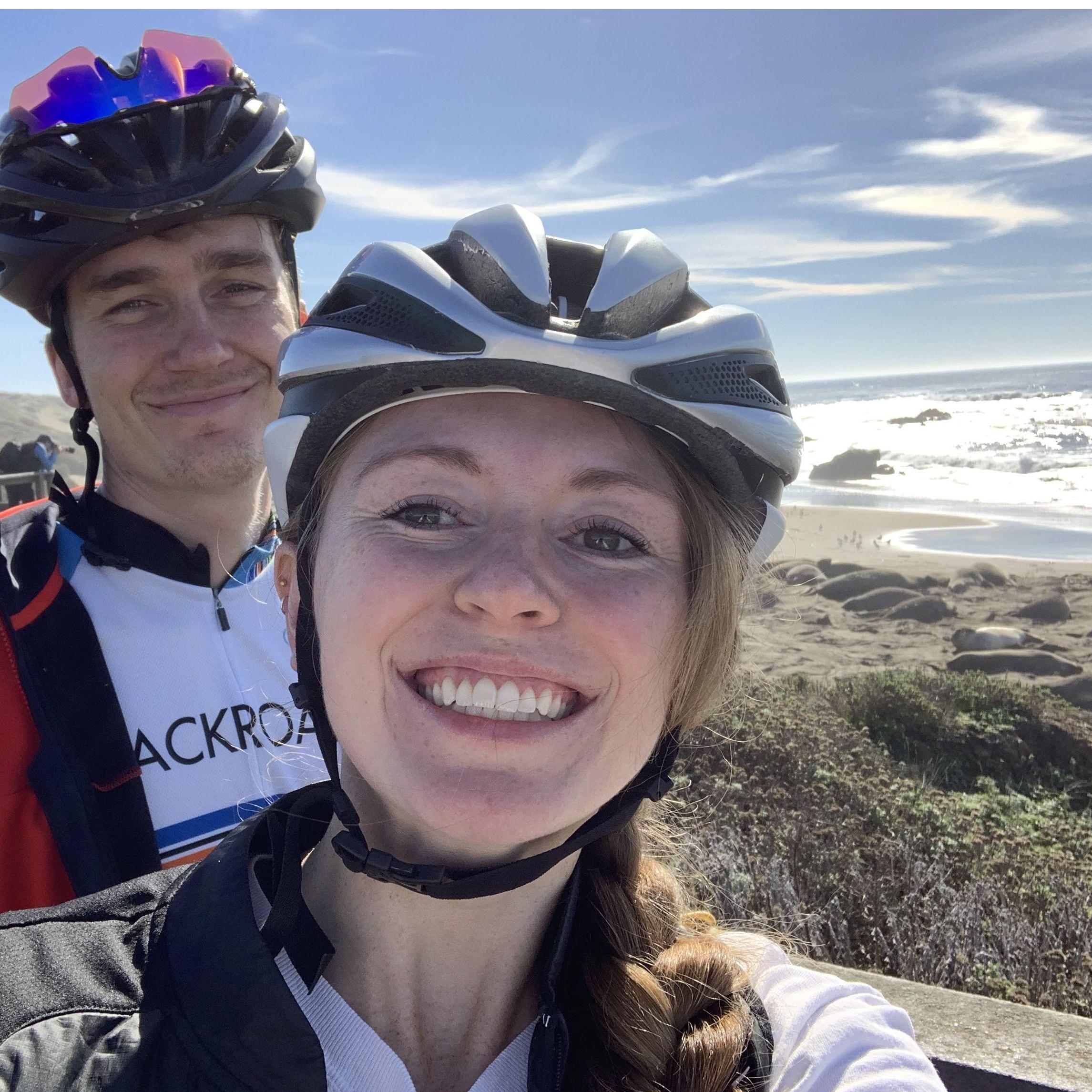 Morgan's favorite California attraction- the elephant seals!