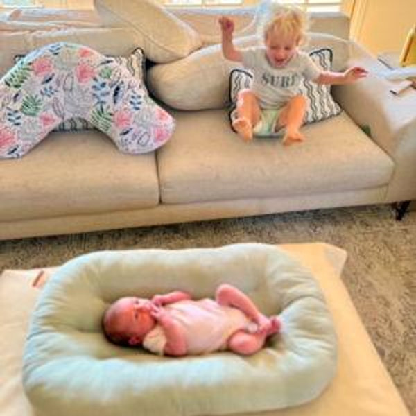 Couch Replacement