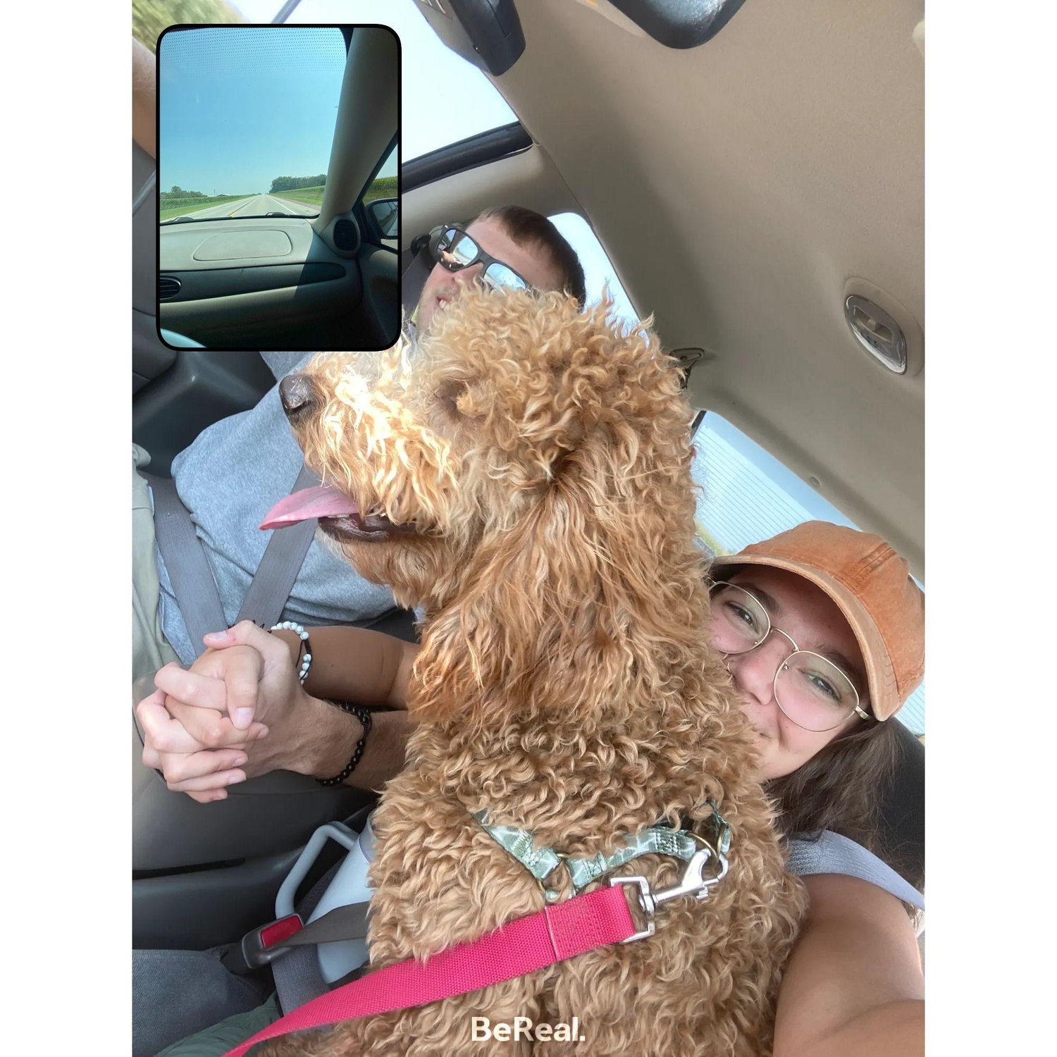Frankie loooooooves sitting in the front seat