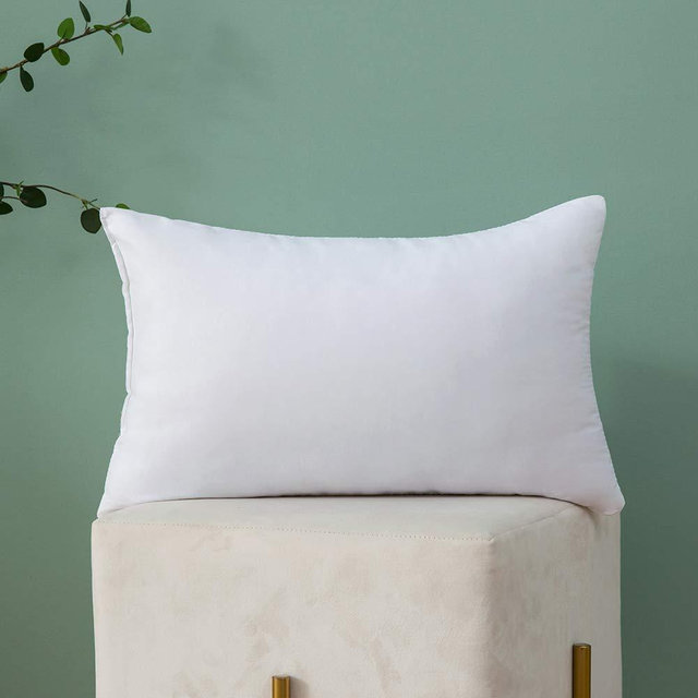 MIULEE Throw Pillow Insert Hypoallergenic Premium Pillow Stuffer Sham Rectangle for Decorative Cushion Bed Couch Sofa 12x24 Inch