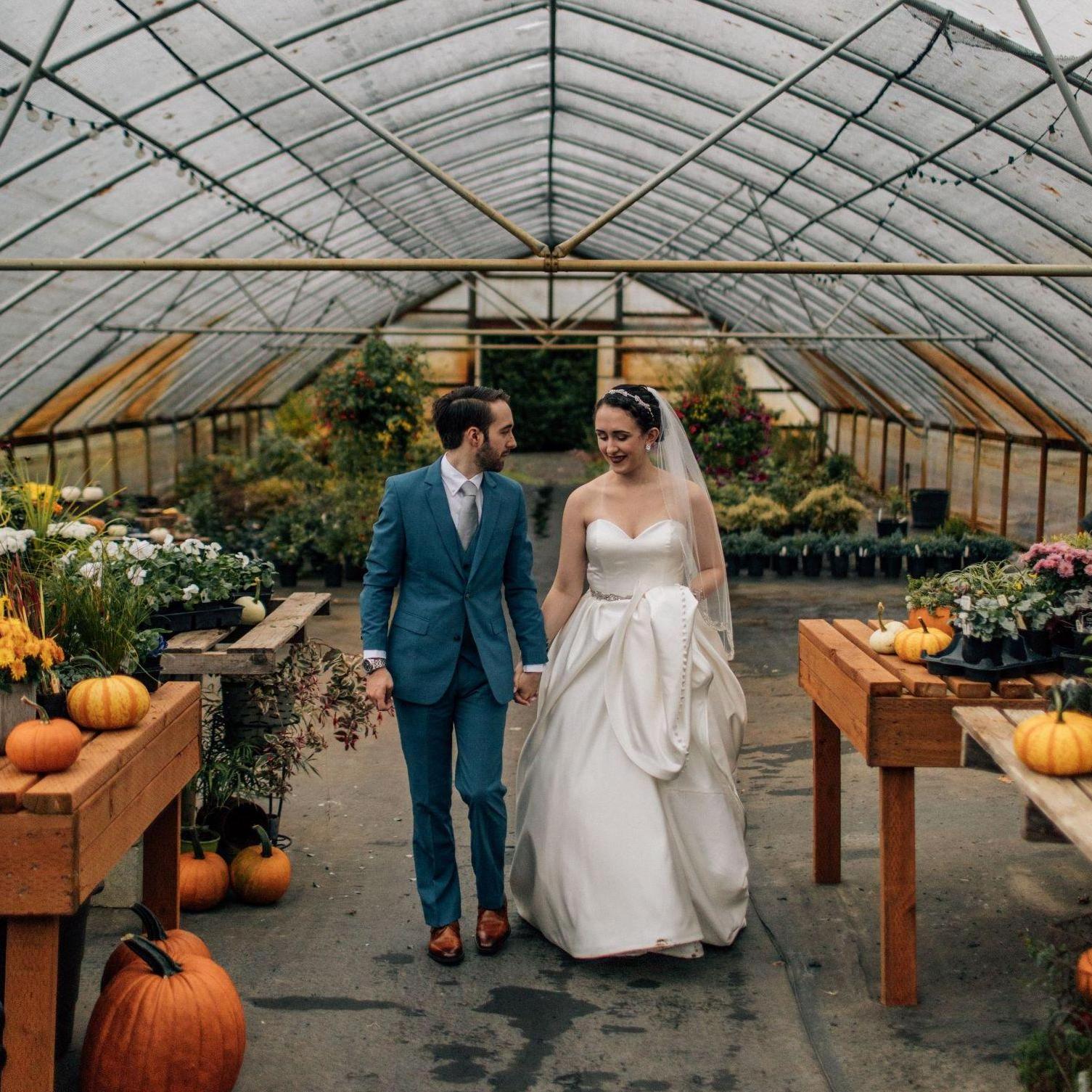 Walking amongst the pumpkins