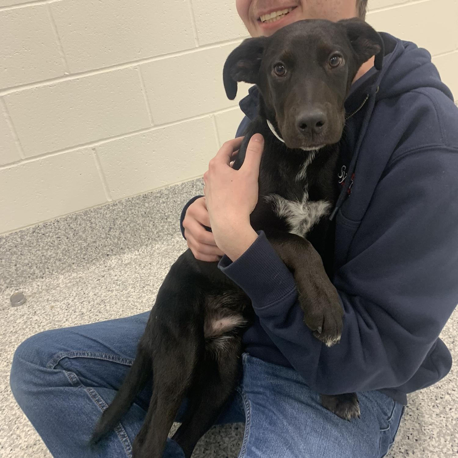 The day we adopted our puppy, Winston