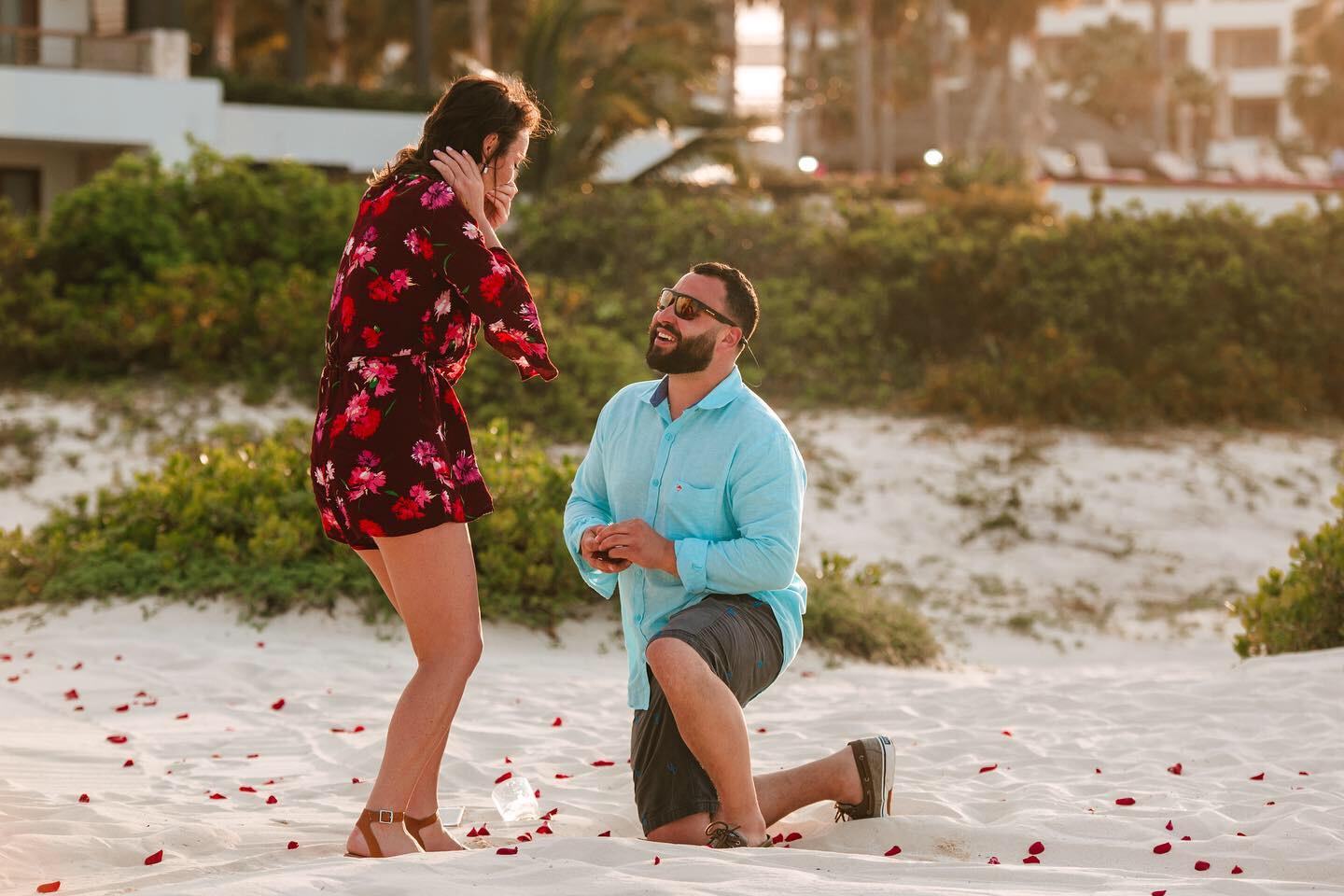 The Wedding Website of Lexi Hilton and Mitchell Napolitano