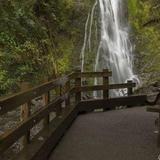 Olympic Peninsula